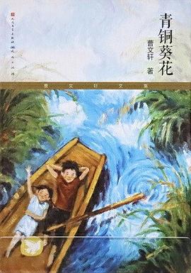 青铜葵花封面
