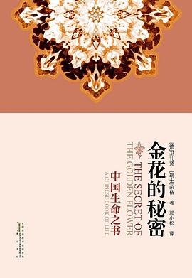 金花的秘密封面
